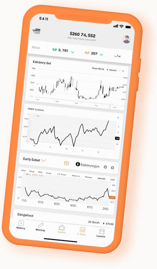 Application web numérique Ronce Capitecto affichée sur un appareil mobile